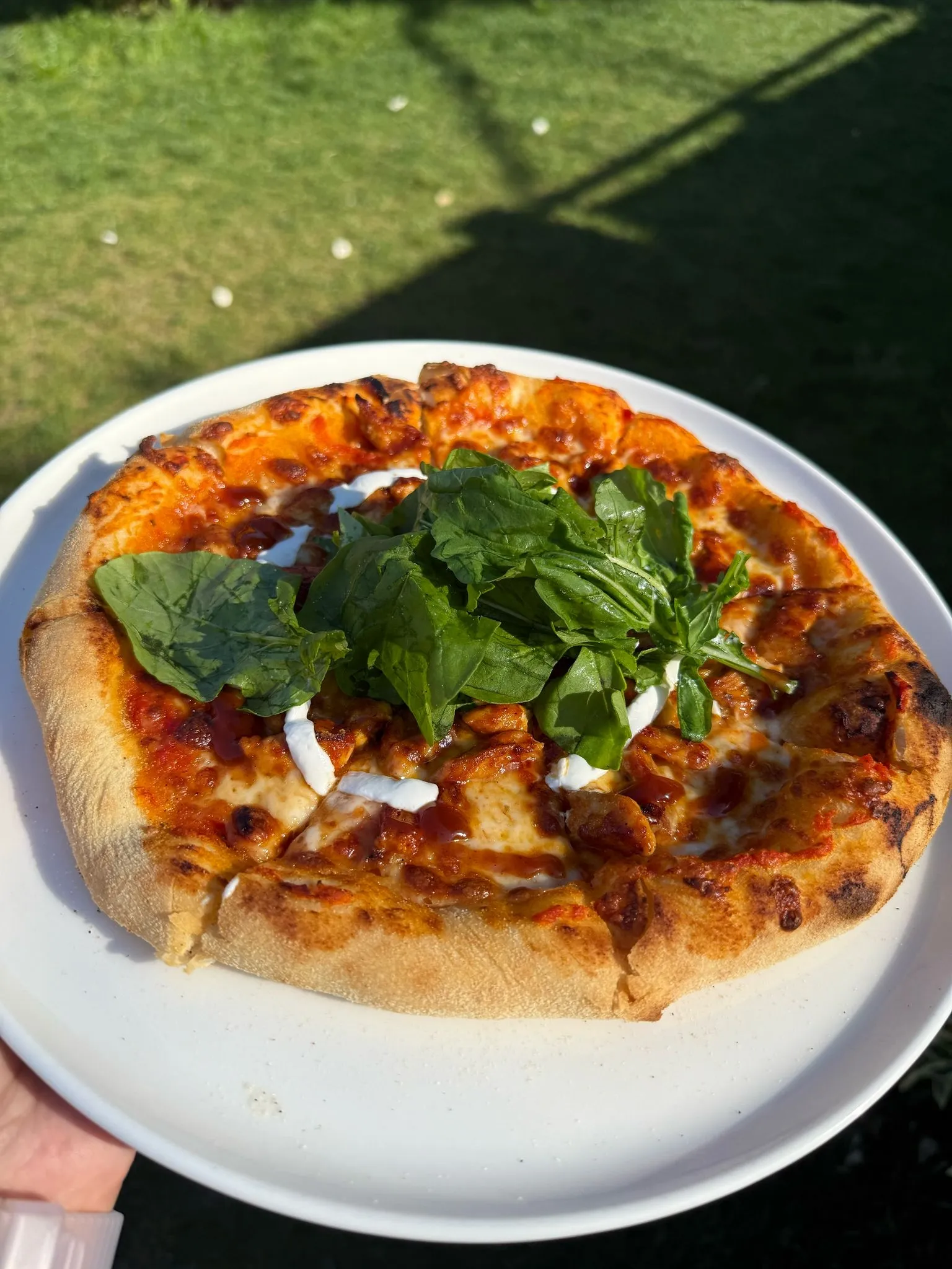 Tavuklu Barbekü Soslu