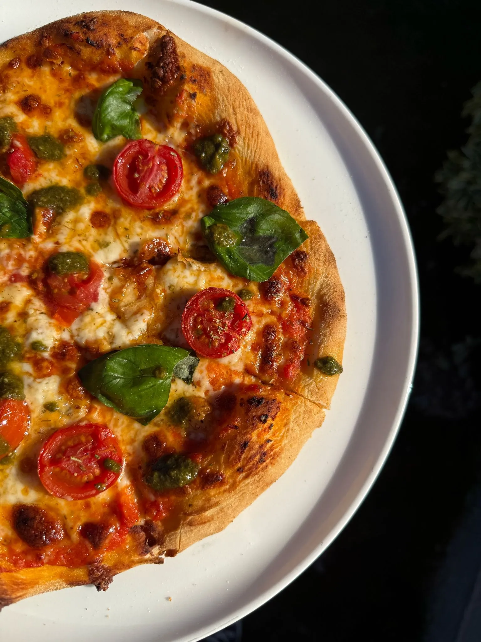 Domatesli Pesto Soslu